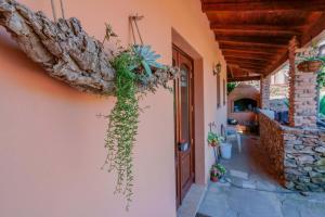 a woman standing in front of a door with a plant in it at L'Oasi del Cervo in Arbus