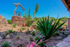 a garden with cacti and plants and a statue at L'Oasi del Cervo in Arbus