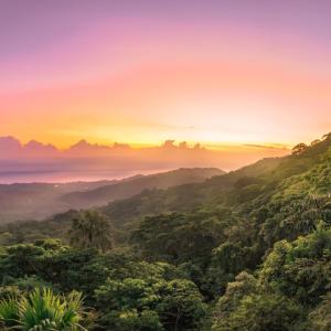 a misty valley in the jungle at sunset at Taorayiná nature lodge- immersed in the forest in El Zaino