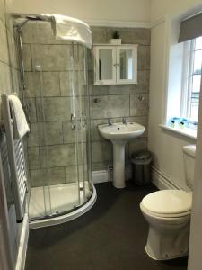 a bathroom with a shower and a toilet and a sink at The George Inn Middle Wallop in Stockbridge