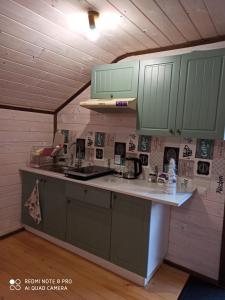 a kitchen with green cabinets and a counter top at Сімейний Затишок апартаменти FAMILY HOME будиночок in Tysovets