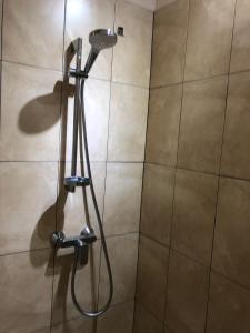 a shower with a shower head in a bathroom at Cool Running Apartments in Saint Georgeʼs