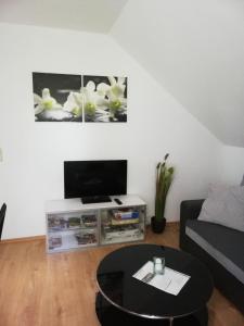 Un televizor și/sau centru de divertisment la FeWo am Bodensee im Uhldingen mit Balkon, zwischen Insel Mainau, Konstanz, Überlingen und Friedrichshafen +15 fotografii