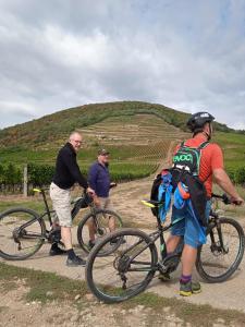 a group of men standing with their bikes on a path at Merum Pincészet és Vendégszoba in Tállya