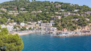 an aerial view of a beach with boats in the water at 1 Sica - Llafranc in Llafranc