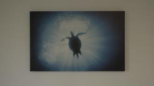 Galeriebild der Unterkunft Las Olas Blue in Playa del Ingles