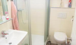 a bathroom with a shower and a toilet and a sink at --- SEEDOMIZIL --- moderne Ferienwohnung mit Terrasse in Möhnesee