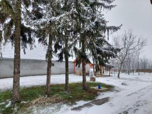 EVA HOUSE v zimě