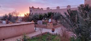 a house with a fence and a yard with plants at Dar Tafouyte in Merzouga