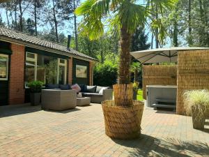 een patio met een palmboom en een parasol bij Secret Wellness Boszicht in Holten