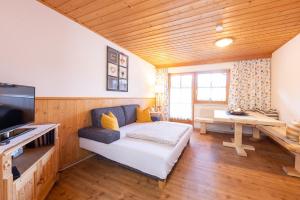 TV a/nebo společenská místnost v ubytování KASSNHOF - Urlaub in den Bergen