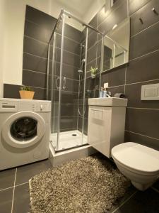 La salle de bains est pourvue d'un lave-linge et de toilettes. dans l'établissement Paower Apartment, à Vienne