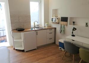 札格雷布的住宿－Angela Studio Apartments，一间带水槽和微波炉的小厨房