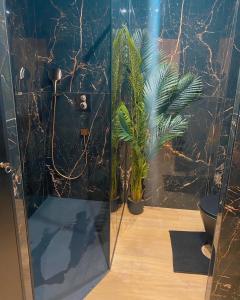y baño con ducha con 2 plantas. en O2M Aix les bains, en Aix-les-Bains