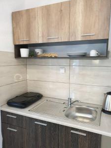 a kitchen counter with a sink and wooden cabinets at V-Suites 2 in Potos