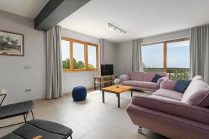 a living room with two couches and a tv at Vitis Apartment Istra in Tinjan