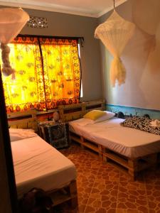 Katil atau katil-katil dalam bilik di The Greenhouse Hostel Arusha Tanzania