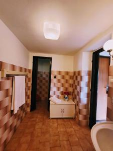 a bathroom with a sink and a toilet in it at Chaloupka u Splavu in Loučná nad Desnou