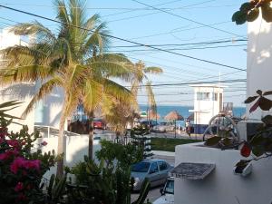 a view of a palm tree from a balcony at Caribbean Paradise in Cancún
