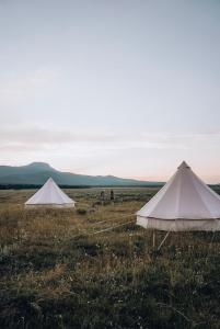 Gallery image of Wander Camp Yellowstone in Island Park