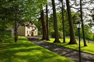 una luz de la calle frente a una casa con árboles en Dromard House en Enniskillen