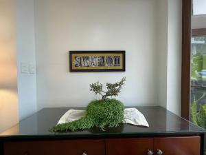 una planta sentada sobre una mesa de cristal en Hotel Shalom, en Riobamba