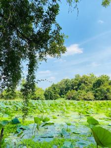 Paesaggio naturale nelle vicinanze dell'affittacamere