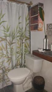 a bathroom with a toilet and a shower curtain at Guest House Boki da Zezé in Marau