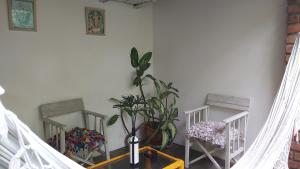a room with two chairs and a potted plant at Guest House Boki da Zezé in Marau