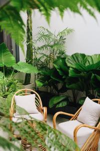 two wicker chairs in a room with plants at Laé Hostel in Tuy Hoa