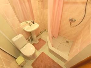 uma casa de banho com um WC, um lavatório e um chuveiro em 1 комнатные апартаменты на Ауэльбекова 138 em Kokshetau