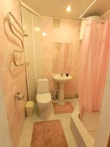 La salle de bains est pourvue de toilettes, d'un lavabo et d'une douche. dans l'établissement 1 комнатные апартаменты на Ауэльбекова 138, à Kökşetaw
