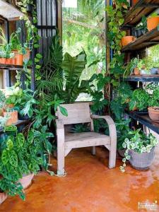 un banco de madera sentado en una sala llena de plantas en El Encanto Caño Negro en Caño Negro