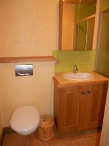 a bathroom with a toilet and a sink at Appartement les 4 Monts in Megève