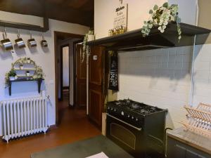 cocina con fogones en una habitación en la grange avec bain nordique et sauna en pleine montagne, en Arrens-Marsous