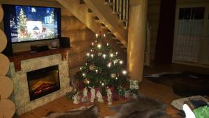 TV a/nebo společenská místnost v ubytování Alpenchalet St.Ulrich