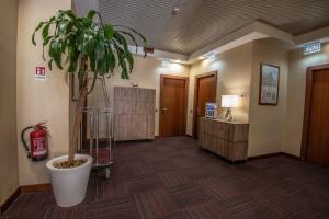 Vstupní hala nebo recepce v ubytování Hotel Petra