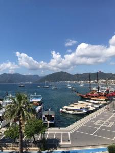a group of boats docked in a harbor at Trea Homes Marina Suites in Marmaris