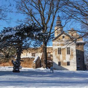 Foto dalla galleria di Pałac Gorzanów a Gorzanów