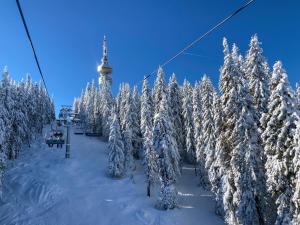 Gallery image of Hotel Orpheus - Casino and SPA in Pamporovo