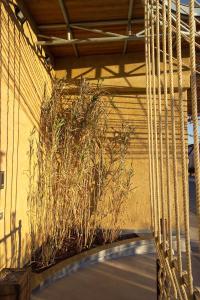 Φωτογραφία από το άλμπουμ του Albergo Cantine Ascheri σε Bra