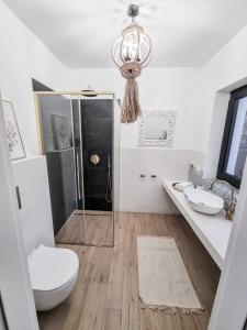 a bathroom with a shower and a toilet and a chandelier at Koniakowo - dom Fino in Koniaków