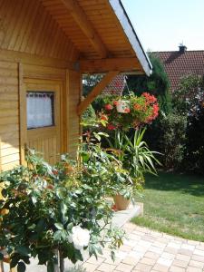 Zahrada ubytování Gästehaus Nelles