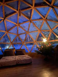 a room with a bed in a large glass ceiling at ForrestVila in Karačiūnai