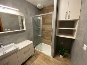 Koupelna v ubytování Apartmán Pošta