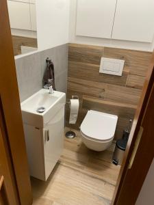 Koupelna v ubytování Apartmán Pošta