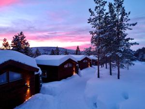 Bjørnfjell Mountain Lodge v zimě