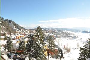 Hotel Pineta durante l'inverno