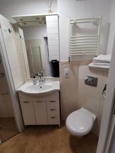 ein Badezimmer mit einem Waschbecken, einem WC und einem Spiegel in der Unterkunft ​Gästehaus Frans-Jozef in Mönichkirchen