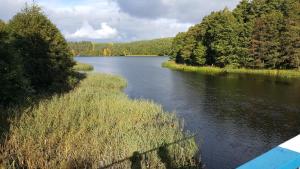 uitzicht op een rivier met gras en bomen bij Ośrodek Wypoczynkowy Soszko in Swornegacie